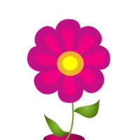 Contrôle des Règles